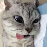 mionehiti