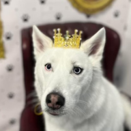 Luna0719