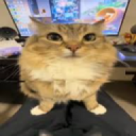 kernel