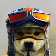 st4nkey