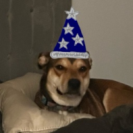 lanewhy