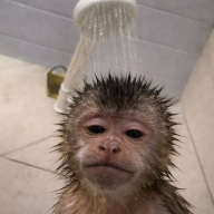 Aza