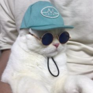 pataco